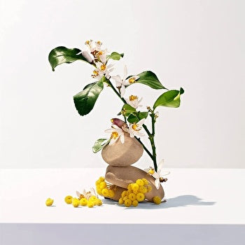 Roger & Gallet Neroli Wellbeing Fragrant Water 30ml