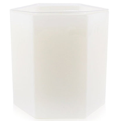 Bougie Antica Farmacista - Feuille de Figuier 255g/9oz