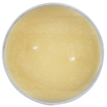 Carroll & Chan Bougie en étain 100 % cire d'abeille - Sakura (8x6) cm