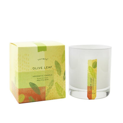 Thymes Aromatic Candle - Olive Leaf 212g/7.5oz