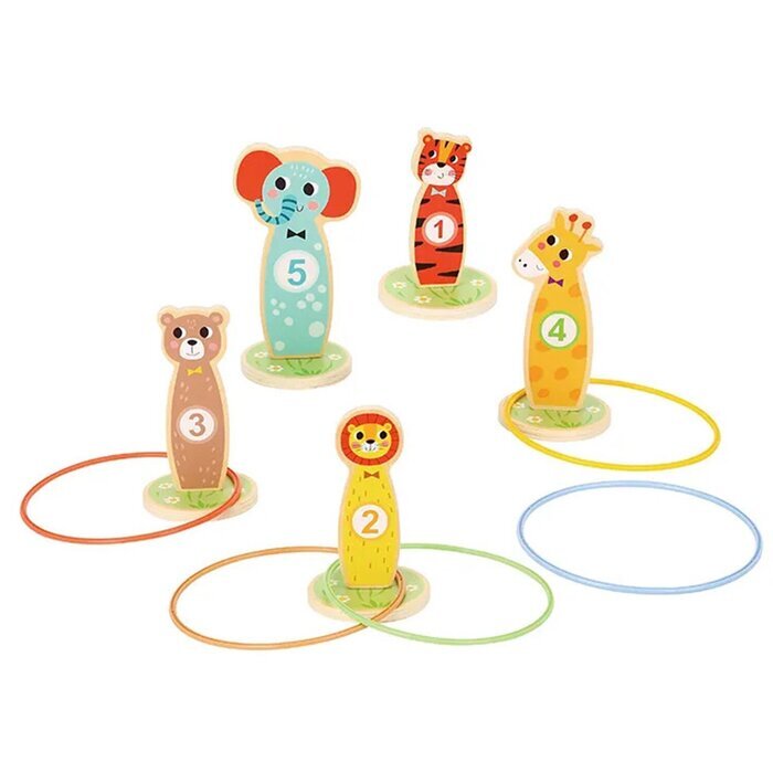 Tooky Toy Co Ring Toss 20x20x5cm