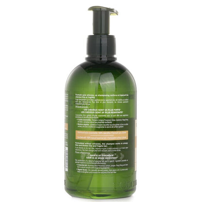 L'Occitane Aromachologie Force & Volume & Strength Shampoo 500ml/16.9oz