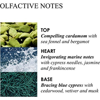 Molton Brown Infinite Bottle Coastal Cypress & Sea Fennel Bath & Shower Gel 400ml